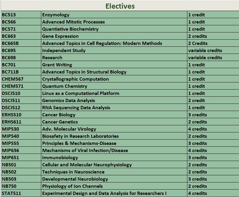 ms-electives
