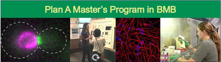 Plan A Master's Program in BMB picture of students doing research
