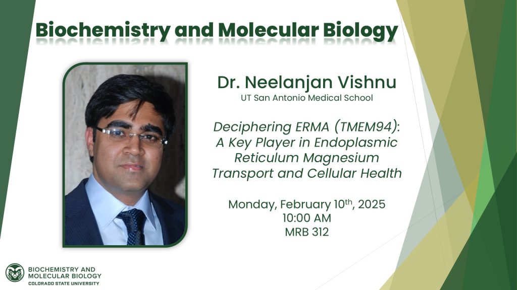 Biochemistry and Molecular Biology Seminar. Presenter is Dr. Neelanjan Vishnu from UT San Antonio Medical School. The title of the presentation is Deciphering ERMA (TMEM94): A Key Player in Endoplasmic Reticulum Magnesium Transport and Cellular Health. It will be on Monday, February 10th, 2025 at 10:00 AM in MRB 312. 

